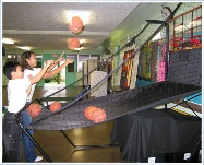 Hawaii Classic Gameroom